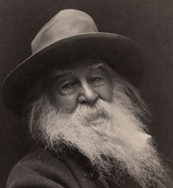 Foto di Walt Whitman