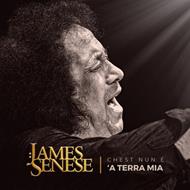 Chesta nun è 'a terra mia