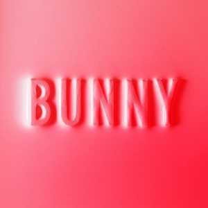 CD Bunny Matthew Dear