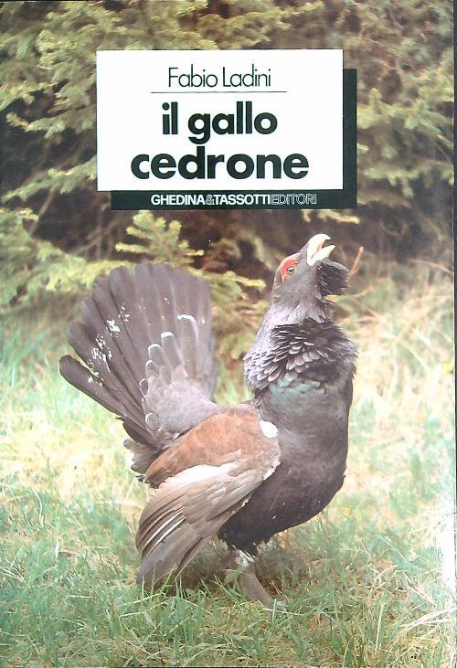 Il gallo cedrone  - Fabio Ladini - copertina