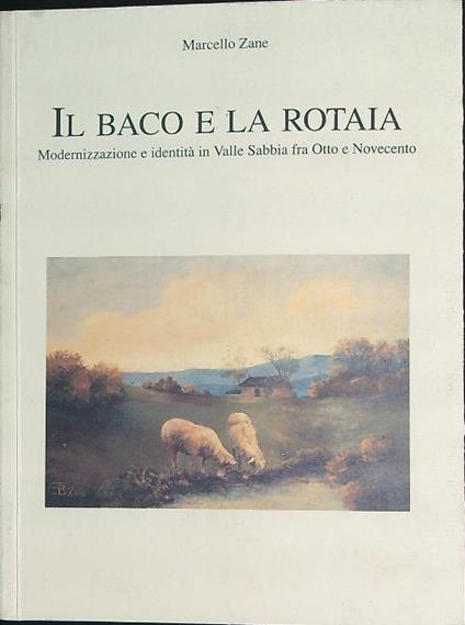 Il baco e la rotaia   - Marcello Zane - copertina