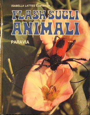 Antica Libreria Srl