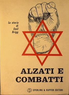 Alzati e combatti. La storia di Emile Brigg - copertina
