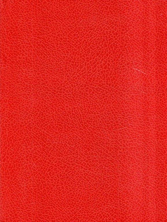 Libroteka di Fattoretti Silvia