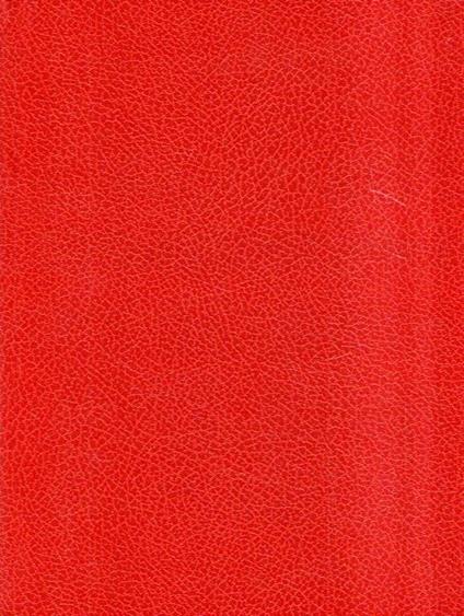 Vite Parallele Churchill - Mussolini - Nino D'Aroma - copertina