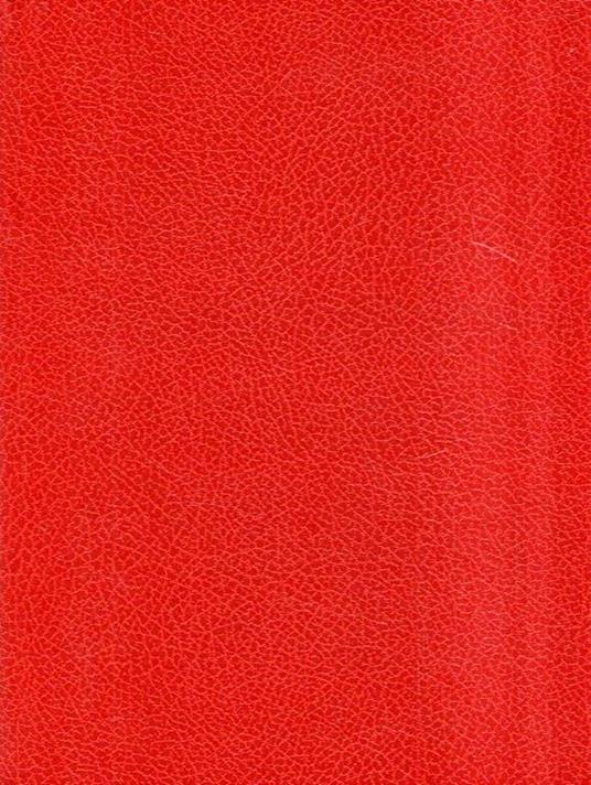 Vite Parallele Churchill - Mussolini - Nino D'Aroma - copertina