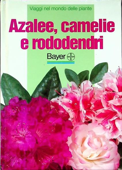 Azalee, camelie e rododendri. Viaggi nel mondo delle piante - Eliana Angiuli - copertina