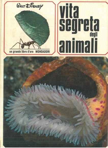 Vita segreta degli animali - Giuseppe Zanini - copertina