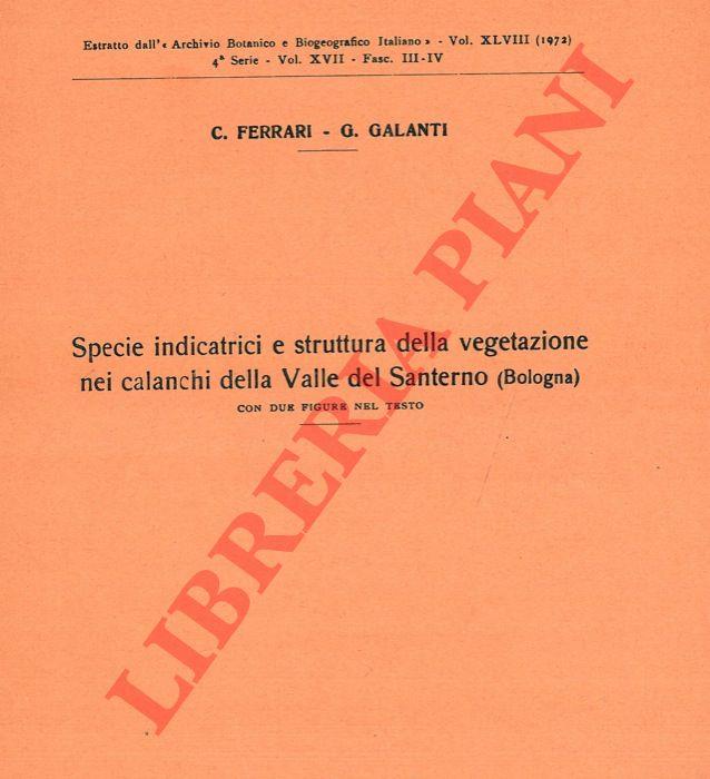 Libreria Piani