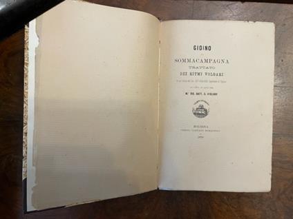 Trattato dei ritmi volgari, da un codice del Sec. XIV della Bibl. Capitolare di Verona, or posto in luce per M.r Gio. Batt. C. Giuliari - copertina