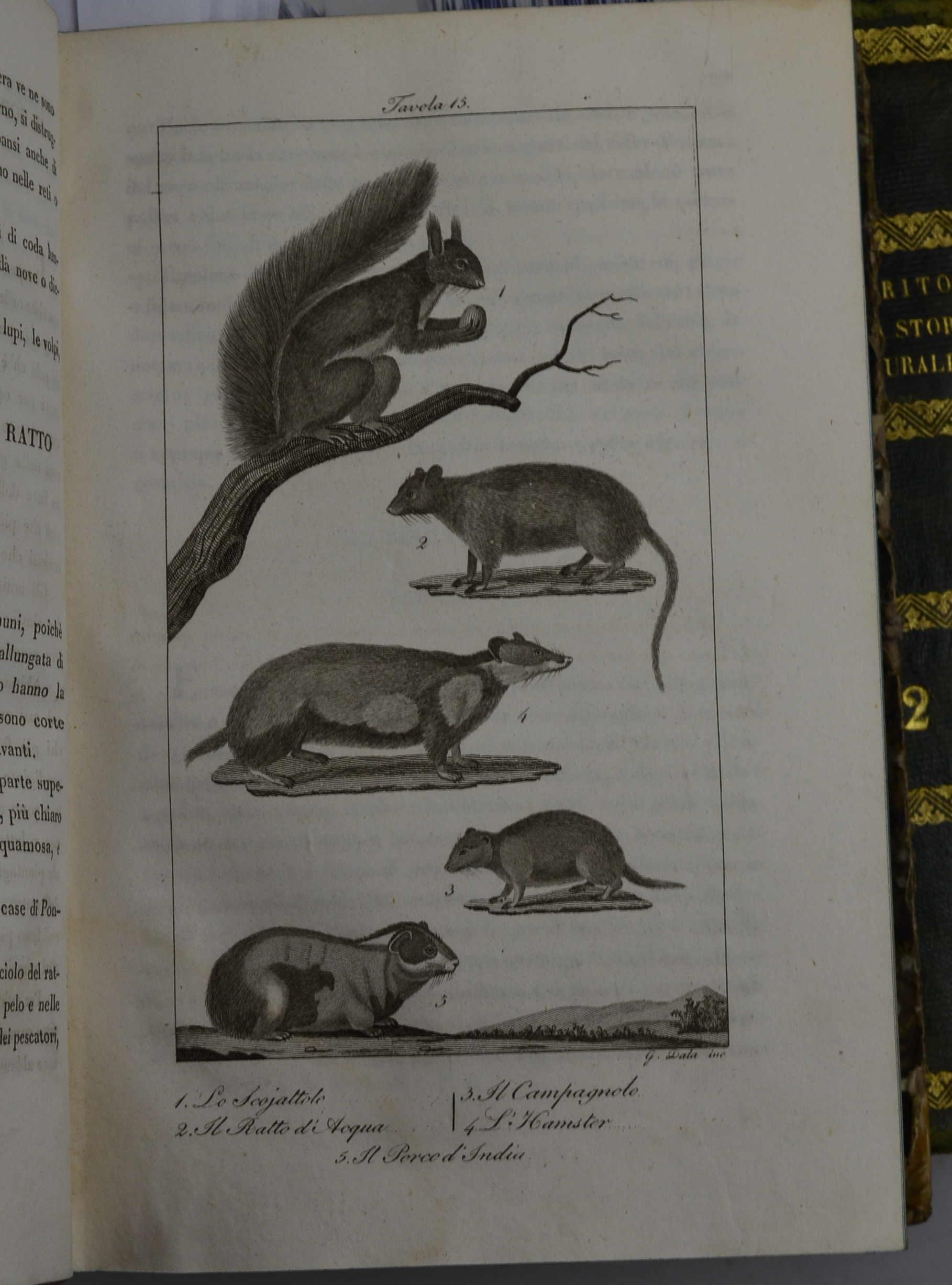 Lo Spirito della Storia Naturale tratto da Buffon e da' suoi continuatori ad uso principalmente di quelli che col mezzo di un'amena lettura amano erudirsi in tutte le scienze utili all'umana famiglia. Opera corredata da oltre 500 tavole esprimenti