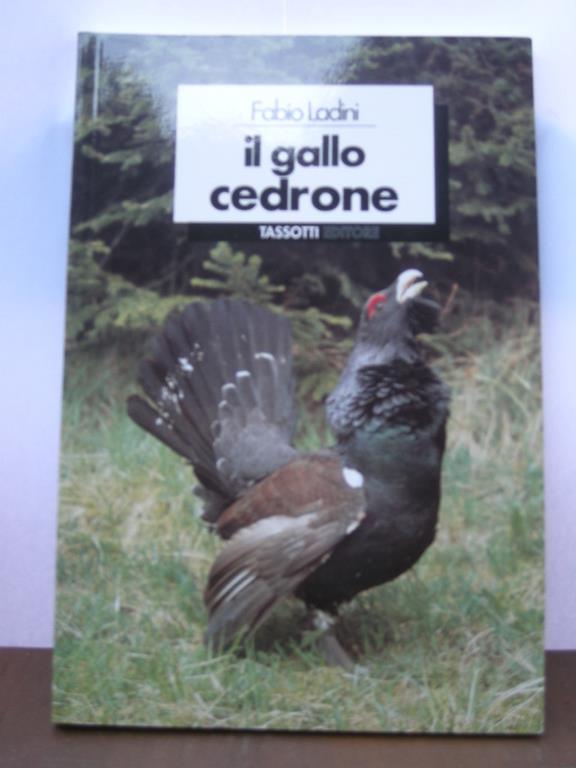 Libreria Gullà