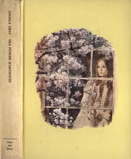 Tra fuochi d' artificio - Angela Gray - copertina