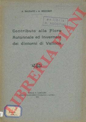 Libreria Piani