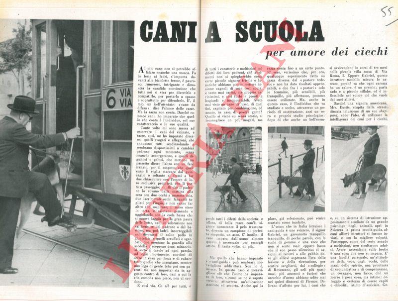 Libreria Piani