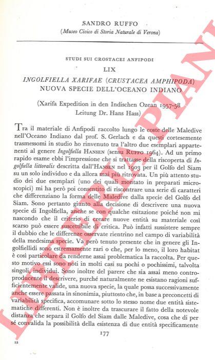 Libreria Piani