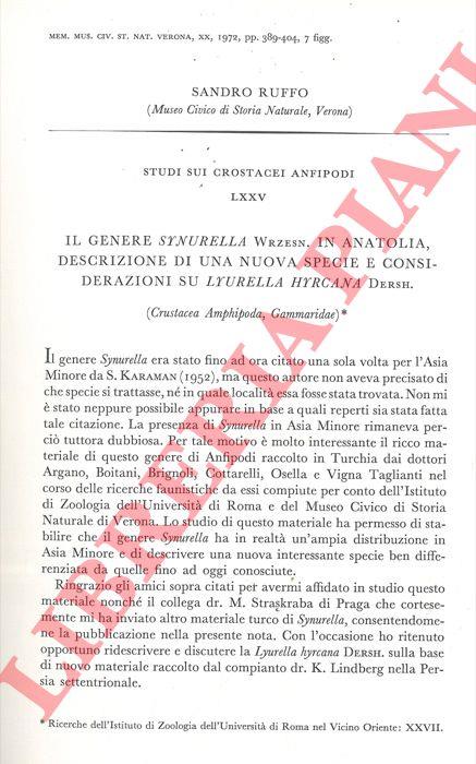 Libreria Piani