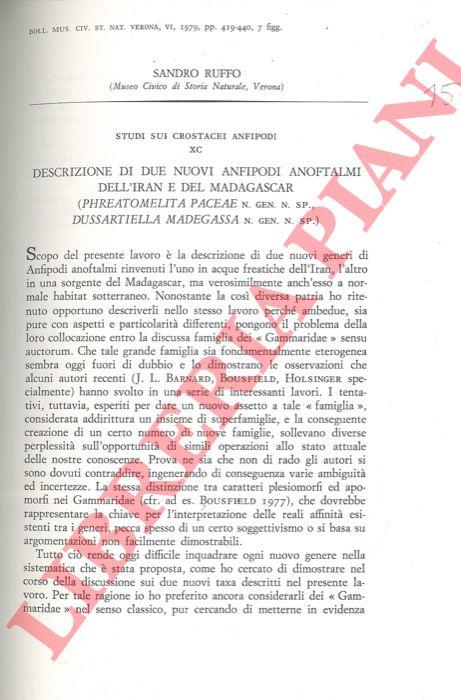 Libreria Piani