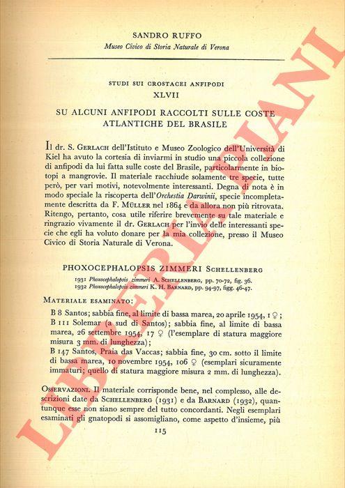 Libreria Piani