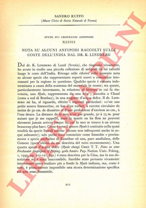 Libreria Piani