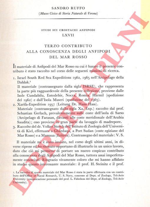 Libreria Piani