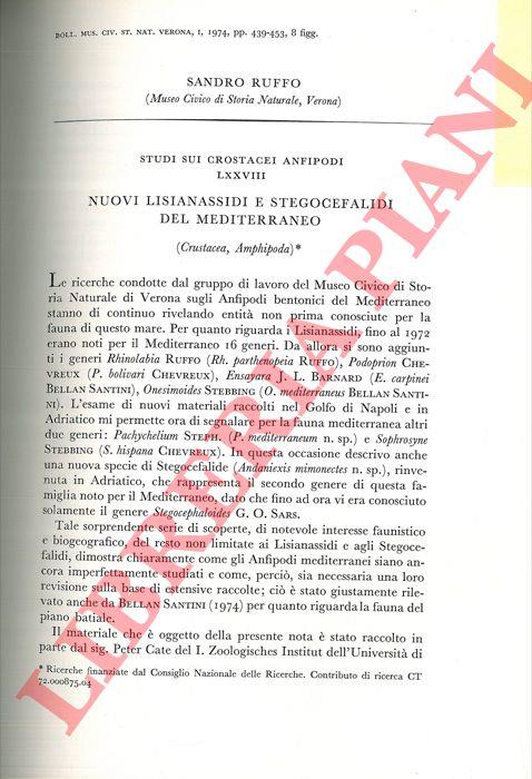 Libreria Piani