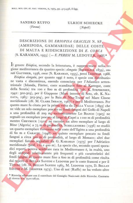 Libreria Piani