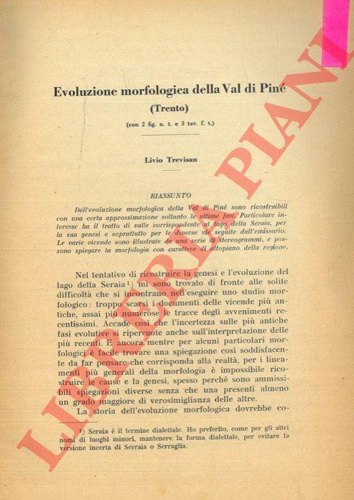 Libreria Piani