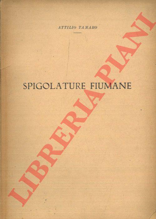 Libreria Piani