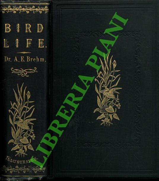 Bird life. Being a history of the bird, its structure, and habits together with sketches of fifty different species - Alfred E. Brehm - copertina