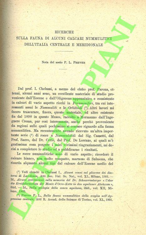 Libreria Piani