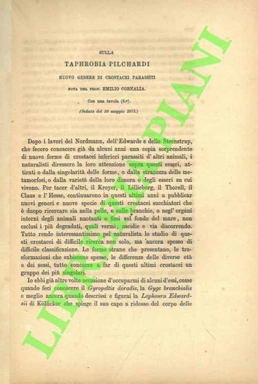 Libreria Piani