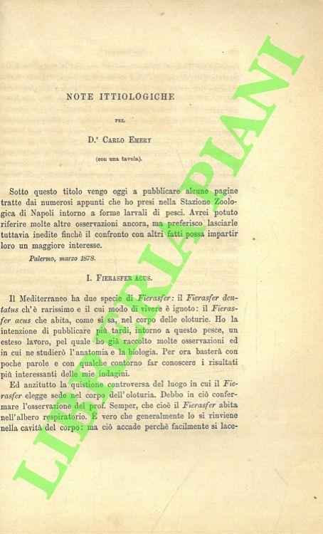 Libreria Piani
