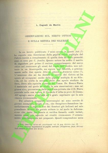 Osservazioni sul nervo ottico e sulla retina dei siluridi. SEGUITO DA: Appunti sulla morfologia della pars neglecta del labirinto acustico di “Bufo vulgaris” - Osservazioni sui Puffinus raccolti dal capitano Loche in Algeria - copertina