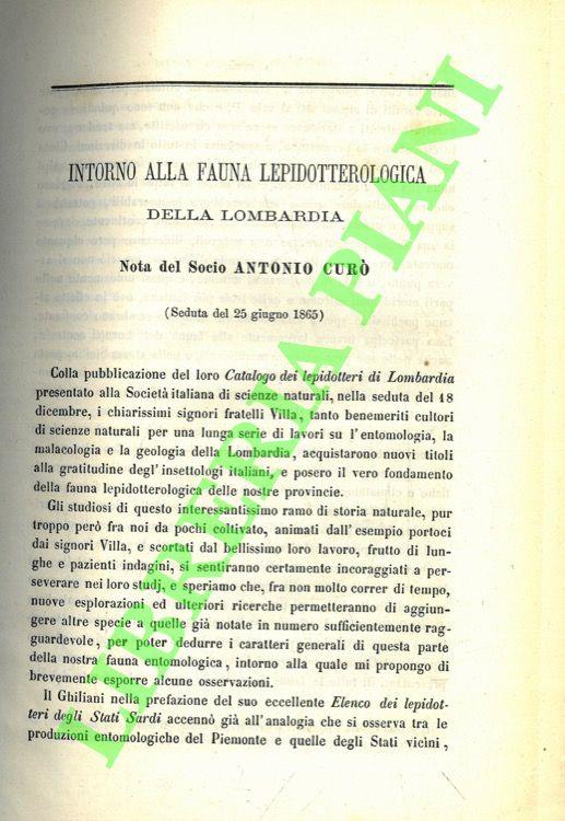 Libreria Piani