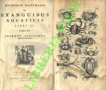 Historiae naturalis de exanguibus aquaticis. Libri IV - copertina