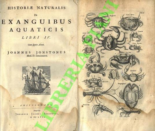 Historiae naturalis de exanguibus aquaticis. Libri IV - copertina