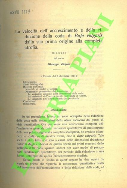 La velocità dell'accrescimento e della riduzione della coda di Bufo vulgaris dalla sua prima origine alla completa atrofia - copertina