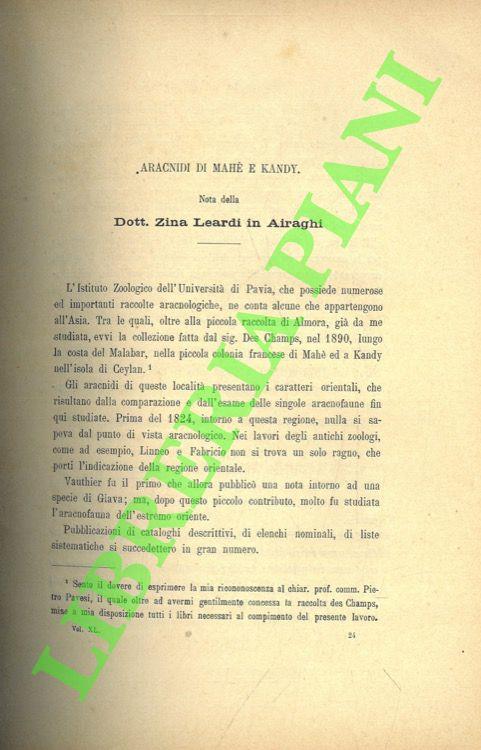 Libreria Piani