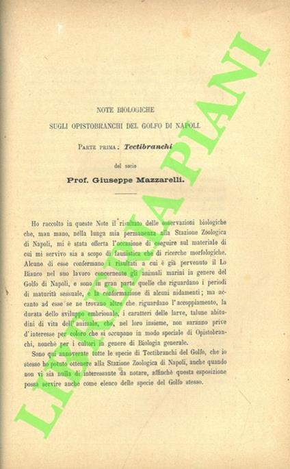 Note biologiche sugli Opistobranchi del Golfo di Napoli. Parte prima: Tectibranchi - copertina