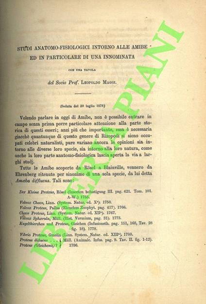 Studi anatomo-fisiologici intorno alle amibe ed in particolare di una innominata - copertina