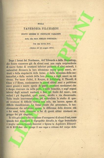 Sulla taphrobia pilchardi. Nuovo genere di crostacei parassiti - copertina
