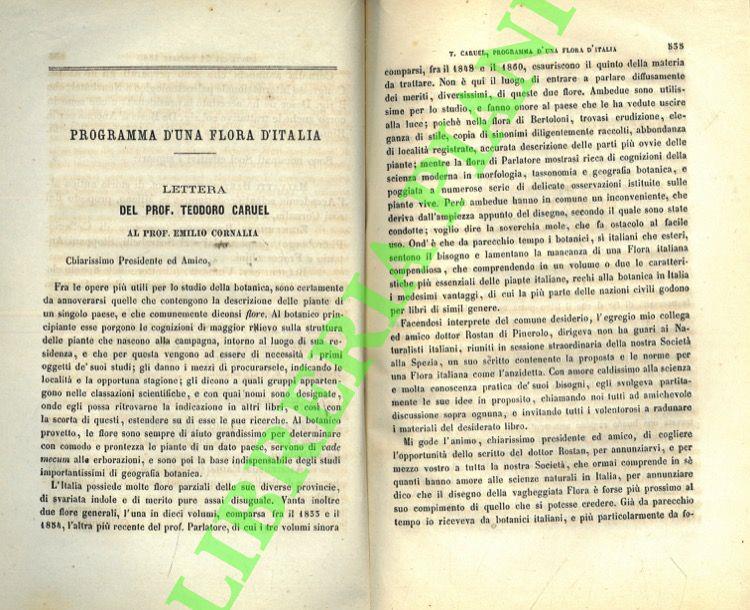 Libreria Piani