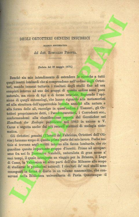 Degli ortotteri genuini insubrici - copertina