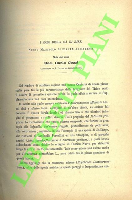 I fiori della Ca' di Biss. Nuovo manipolo di piante abbiatensi - Carlo Cozzi - copertina
