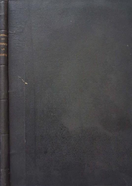 Bruges la morte - Georges Rodenbach - copertina