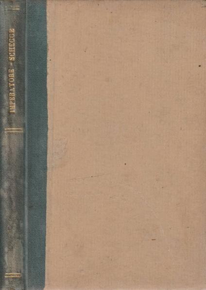 Schegge - copertina