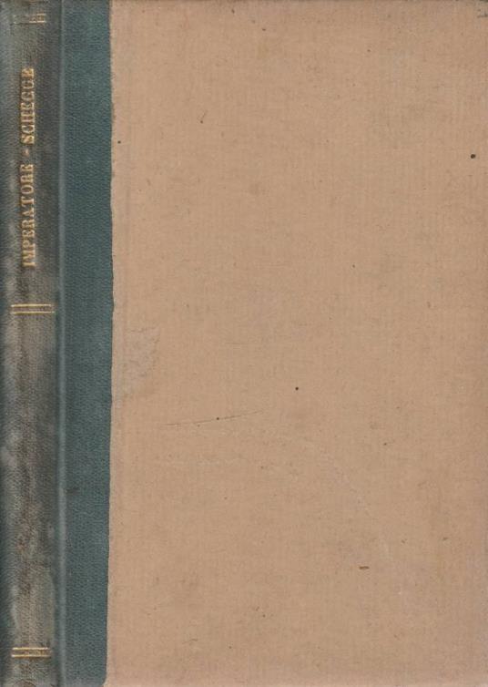 Schegge - copertina