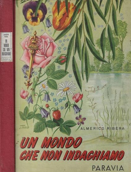 Un mondo che non indaghiamo - copertina