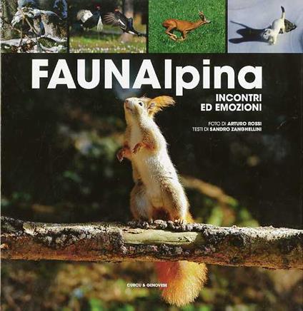 Faunalpina: incontri ed emozioni. Foto di Arturo Rossi - copertina